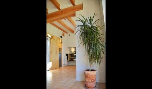 Olles Villa Sleeps 6 With Pool