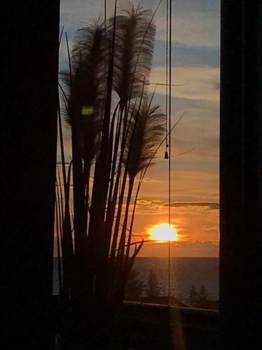 Apartamento Timantti B 6