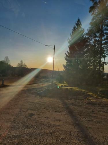 Huumoriharju