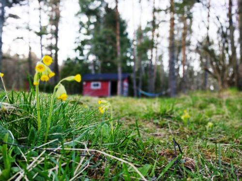 Naawa Nature Camp