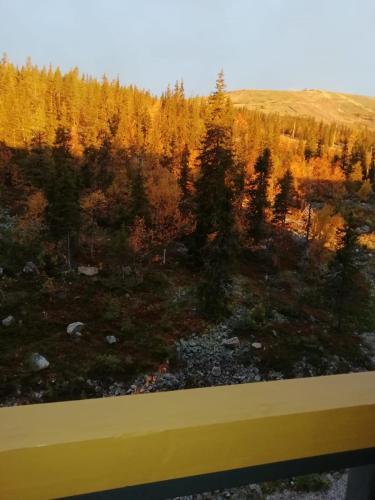 Enjoy Yll�s - Cozy Top Floor Apartment