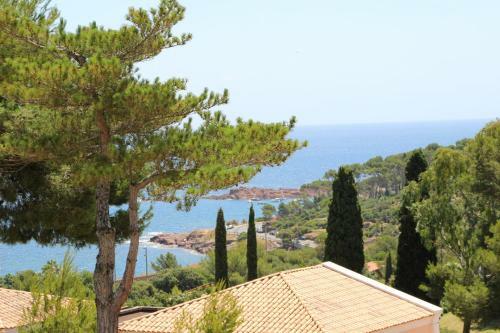 Apartamento 1m C8 245 - 371la