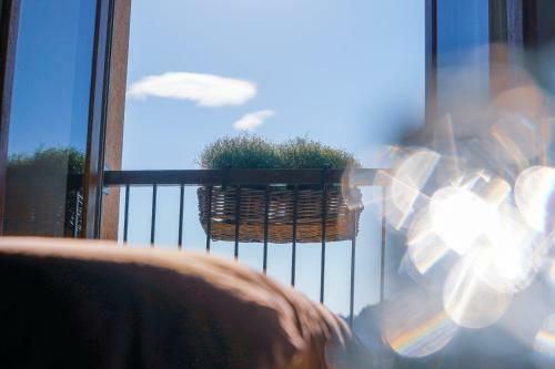 Hotel H�tel La Villa Ginette