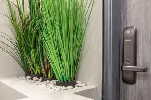 Apartamento Studio Design Connect�?hyper Centre?wifi?netflix