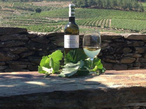 Villa Quinta Da Padrela Winery House