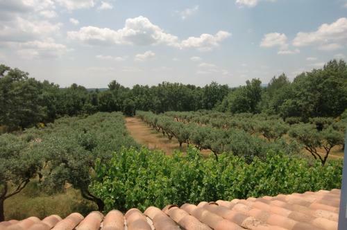 Villa Les Oliviers