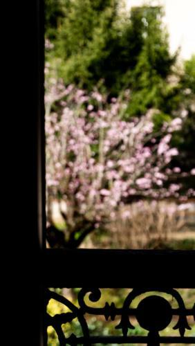 Hotel H�tel Zadig