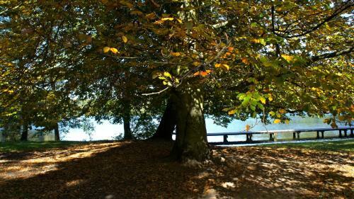 Hotel Zamek Joannit�w