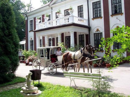 Hotel Magnat