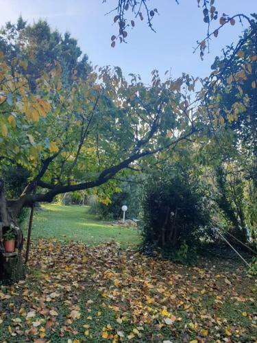 Charming House Near Avignon