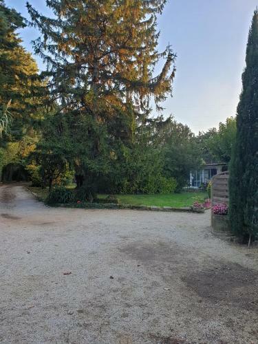 Charming House Near Avignon
