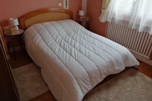 Cosy House