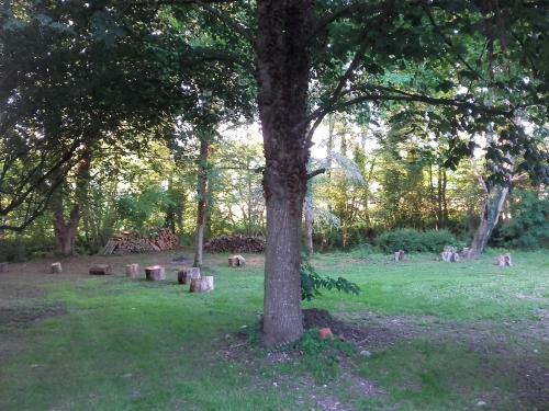 Bed & Breakfast Domaine Pastel