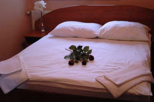 Hostal Willa Marina