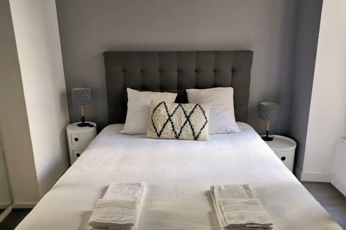 Fantastic Apartment Central Bordeaux