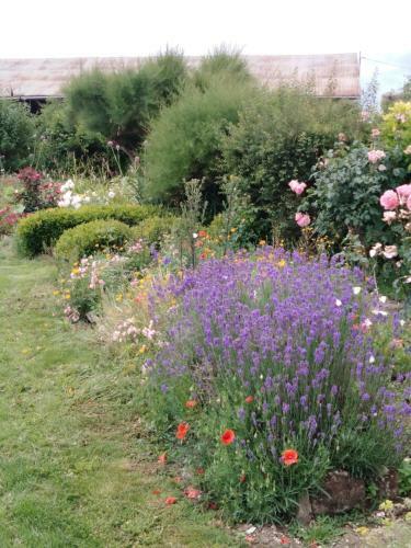 Bed & Breakfast A L �poque