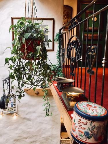 Hotel H�tel Angival