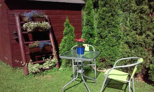 Hostal Willa Retro
