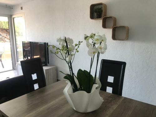 Apartamentos Appartement � 2 Pas de La Mer