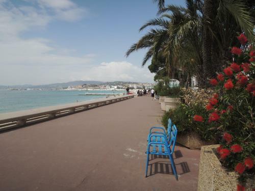 Apartamento Totolulu Cannes Charming Chemin�e