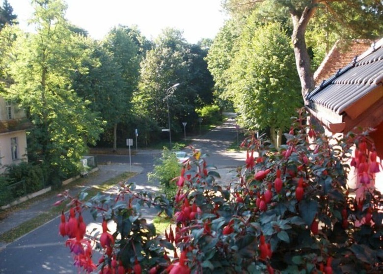 Hostal Willa 4 Pory Roku