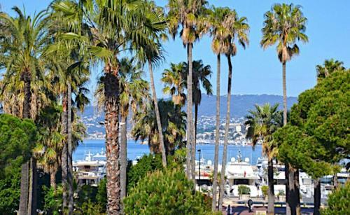 Apartamento Homeplace Louis Blanc