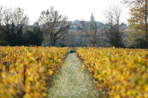 Castelnau-de-guers Villa Sleeps 10