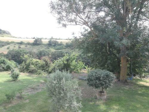 Agroturismo Terres de Barr�jat