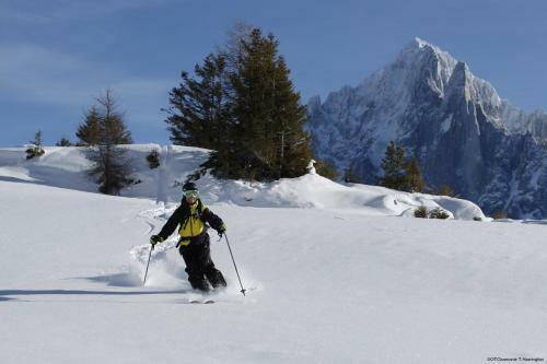 Apartamento Villa Mon Idee Appt 1 - Chamonix All Year