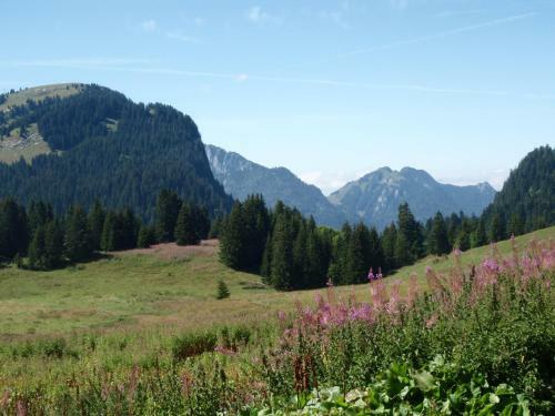 Chalet Belle Vache In Chatel With Hot-tub