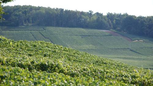 Bed & Breakfast Les Dames-jeannes