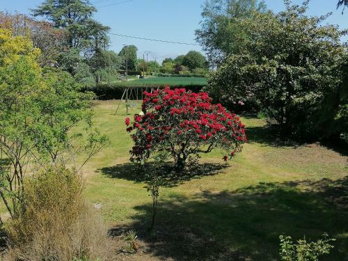 Apartamento G�te 2 Pers Proche Plage Avec Jardin
