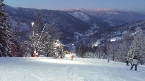 Hostal Pod Klimczokiem I
