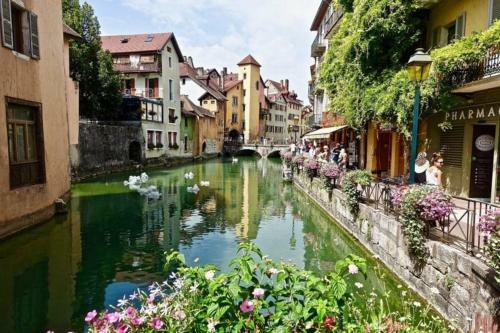 Manou Du Lac Annecy