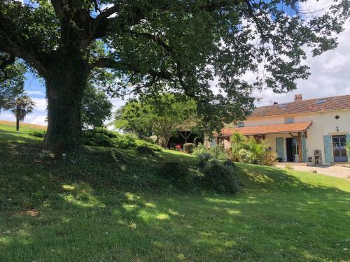 Bed & Breakfast Maison Lamothe