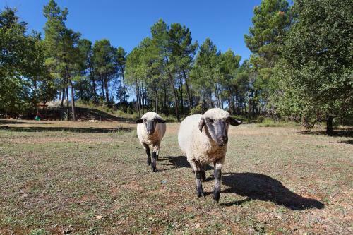 Hostal Domaine Les Petites Vaines