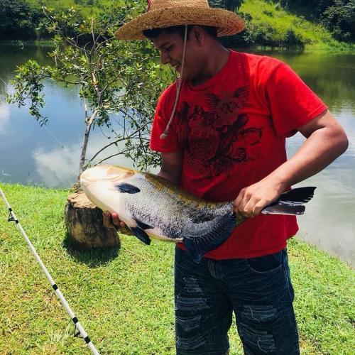 Hotel Vista Lago