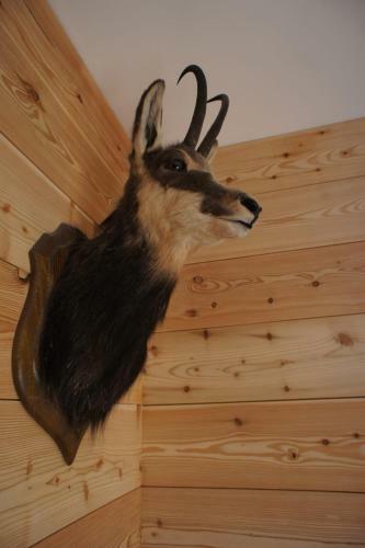 Apartamento Petit Cocon Cosy Au C?ur de L'alpe #bf