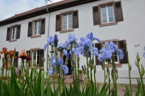 Apartamentos Ferme Les Iris
