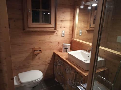 Chalet In Lovely, Rich Forest Setting With A Beautiful View