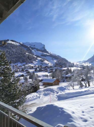 Chalet On The Slopes With Balcony La Clusaz