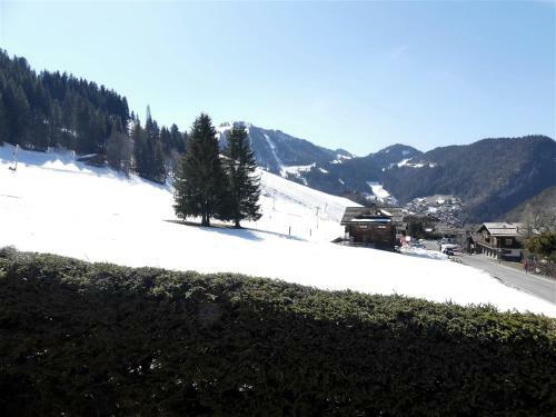 Apartamento Petit Lutin - Chalet Sur Les Pistes