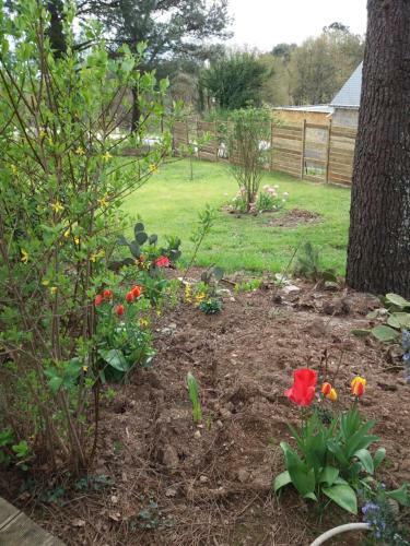 Bed & Breakfast La Lande Du Cas