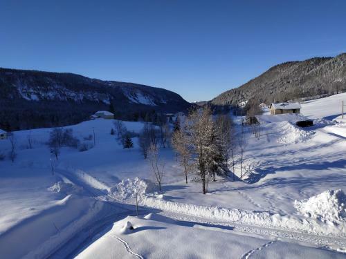 Apartamento Les Chamois