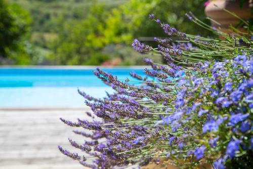 Laurac Villa Sleeps 8 Pool Wifi