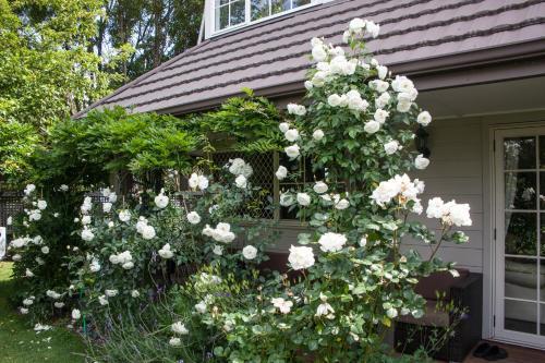 Bed & Breakfast The Loft