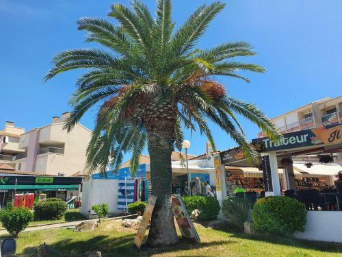 Apartamento Le Studio Du Palais de La Mer