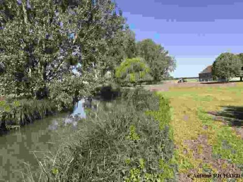 Bed & Breakfast Manoir de Chandoiseau
