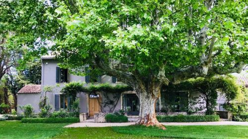 Villas Du Luberon - Mas Les Blondes