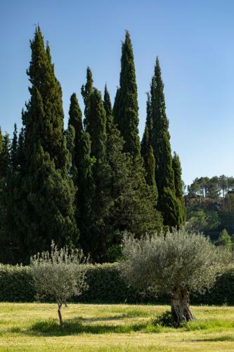 Bed & Breakfast Domaine de La Chapelle